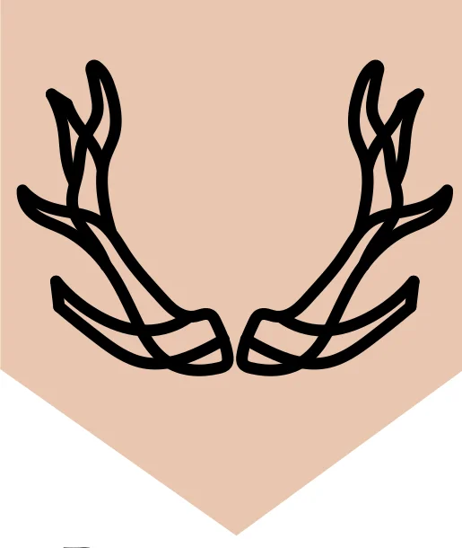 Beshaba's symbol made as an illustration by doize demos