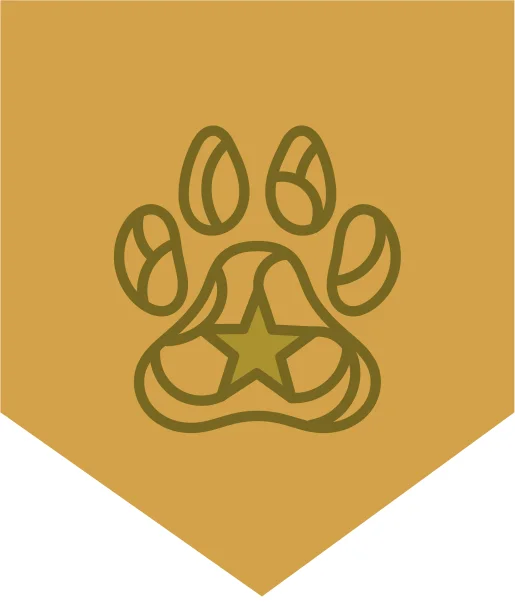 Gwaeron Windstrom's symbol made as an illustration by doize demos