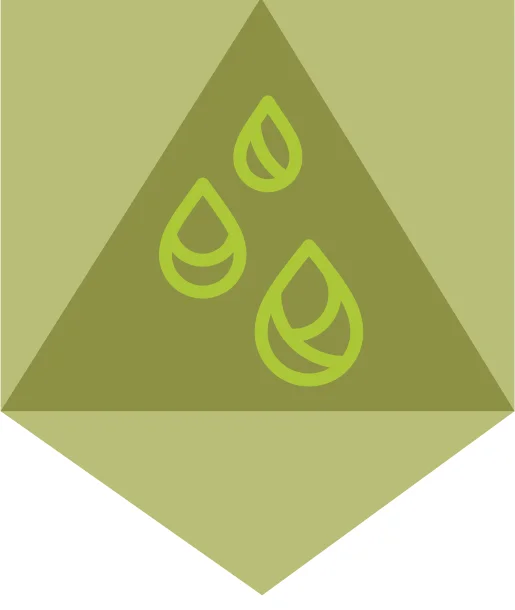 Talona's symbol made as an illustration by doize demos